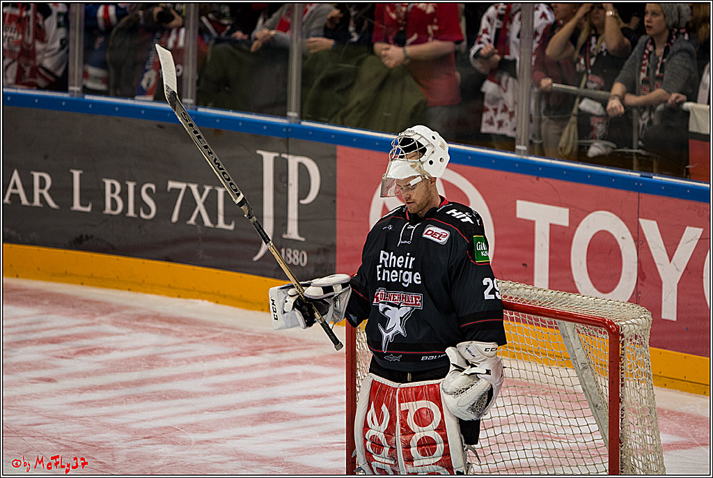 Koelner Haie - Schwenninger Wild Wings, 11.12.2016